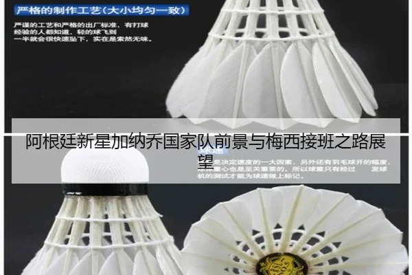 阿根廷新星加纳乔国家队前景与梅西接班之路展望