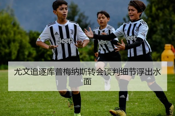 尤文追逐库普梅纳斯转会谈判细节浮出水面